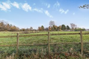 Adjoining Field Views- click for photo gallery